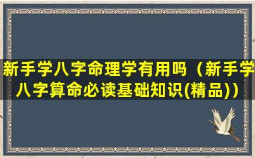 新手学八字命理学有用吗（新手学八字算命必读基础知识(精品)）