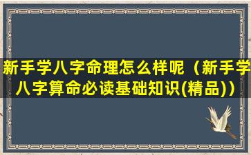 新手学八字命理怎么样呢（新手学八字算命必读基础知识(精品)）