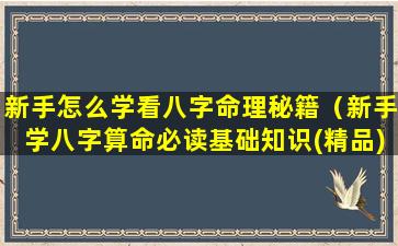 新手怎么学看八字命理秘籍（新手学八字算命必读基础知识(精品)）