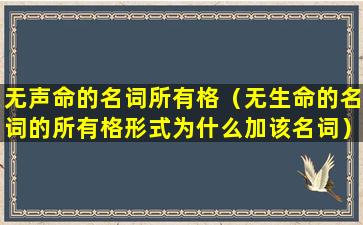 无声命的名词所有格（无生命的名词的所有格形式为什么加该名词）