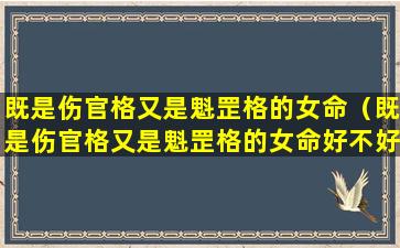 既是伤官格又是魁罡格的女命（既是伤官格又是魁罡格的女命好不好）