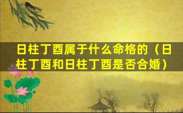 日柱丁酉属于什么命格的（日柱丁酉和日柱丁酉是否合婚）