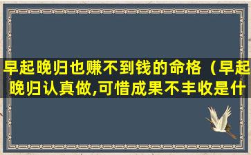 早起晚归也赚不到钱的命格（早起晚归认真做,可惜成果不丰收是什么生肖）