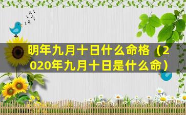 明年九月十日什么命格（2020年九月十日是什么命）