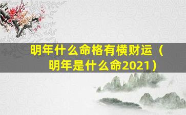 明年什么命格有横财运（明年是什么命2021）