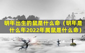 明年出生的鼠是什么命（明年是什么年2022年属鼠是什么命）