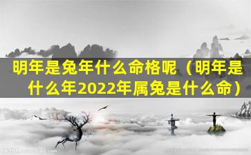 明年是兔年什么命格呢（明年是什么年2022年属兔是什么命）