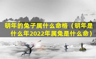 明年的兔子属什么命格（明年是什么年2022年属兔是什么命）