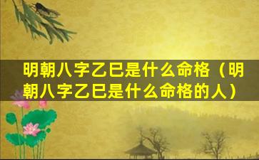 明朝八字乙巳是什么命格（明朝八字乙巳是什么命格的人）