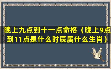 晚上九点到十一点命格（晚上9点到11点是什么时辰属什么生肖）