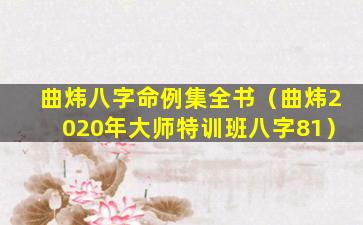 曲炜八字命例集全书（曲炜2020年大师特训班八字81）