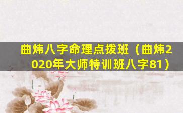 曲炜八字命理点拨班（曲炜2020年大师特训班八字81）