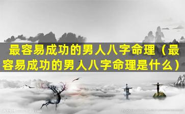 最容易成功的男人八字命理（最容易成功的男人八字命理是什么）