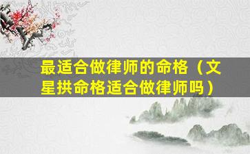 最适合做律师的命格（文星拱命格适合做律师吗）