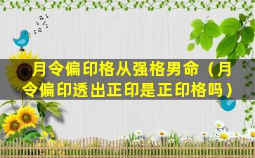 月令偏印格从强格男命（月令偏印透出正印是正印格吗）