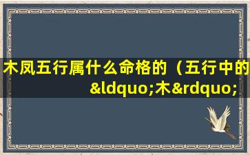 木凤五行属什么命格的（五行中的“木”对应自然现象中的风）