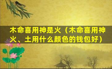 木命喜用神是火（木命喜用神火、土用什么颜色的钱包好）