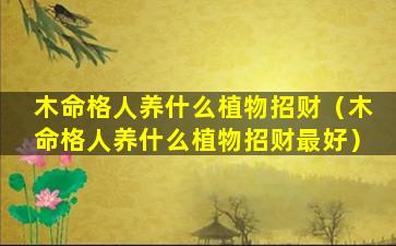 木命格人养什么植物招财（木命格人养什么植物招财最好）