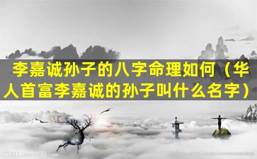 李嘉诚孙子的八字命理如何（华人首富李嘉诚的孙子叫什么名字）