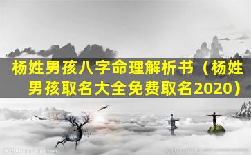 杨姓男孩八字命理解析书（杨姓男孩取名大全免费取名2020）