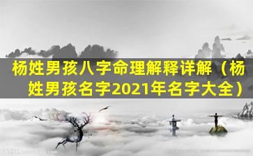 杨姓男孩八字命理解释详解（杨姓男孩名字2021年名字大全）