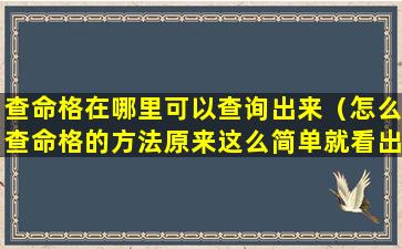 查命格在哪里可以查询出来（怎么查命格的方法原来这么简单就看出来了）