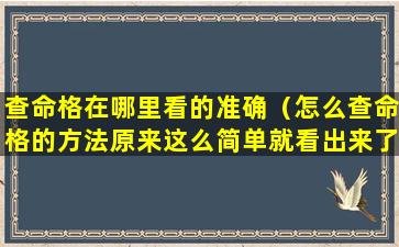 查命格在哪里看的准确（怎么查命格的方法原来这么简单就看出来了）