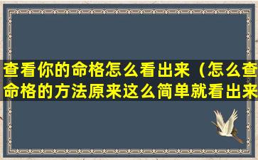 查看你的命格怎么看出来（怎么查命格的方法原来这么简单就看出来了）