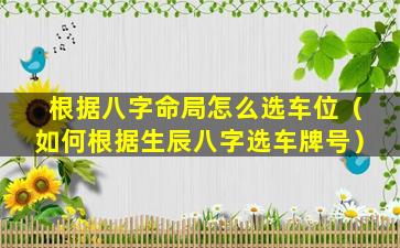 根据八字命局怎么选车位（如何根据生辰八字选车牌号）