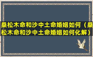 桑松木命和沙中土命婚姻如何（桑松木命和沙中土命婚姻如何化解）