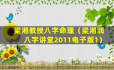 梁湘教授八字命理（梁湘润八字讲堂2011电子版1）