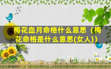 梅花血月命格什么意思（梅花命格是什么意思(女人)）