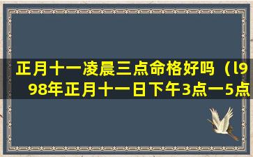 正月十一凌晨三点命格好吗（l998年正月十一日下午3点一5点生有儿子）