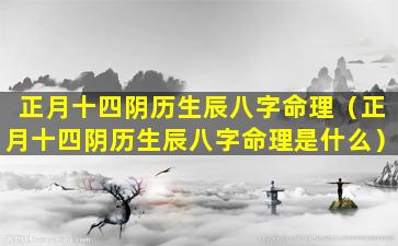 正月十四阴历生辰八字命理（正月十四阴历生辰八字命理是什么）