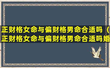 正财格女命与偏财格男命合适吗（正财格女命与偏财格男命合适吗婚姻如何）