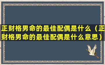 正财格男命的最佳配偶是什么（正财格男命的最佳配偶是什么意思）