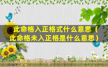 此命格入正格式什么意思（此命格未入正格是什么意思）