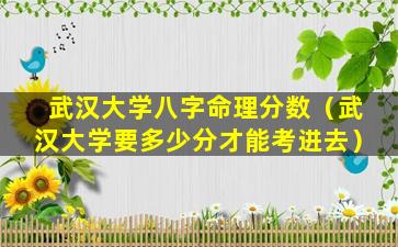 武汉大学八字命理分数（武汉大学要多少分才能考进去）