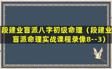 段建业盲派八字初级命理（段建业盲派命理实战课程录像8--3）