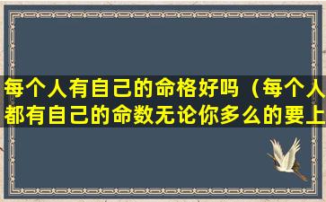 每个人有自己的命格好吗（每个人都有自己的命数无论你多么的要上强）