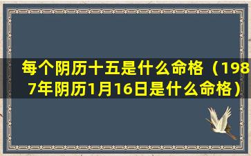 每个阴历十五是什么命格（1987年阴历1月16日是什么命格）