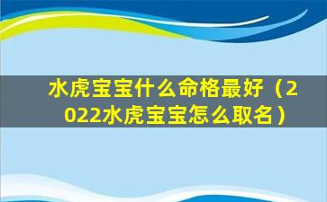 水虎宝宝什么命格最好（2022水虎宝宝怎么取名）