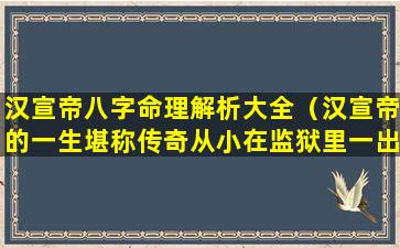 汉宣帝八字命理解析大全（汉宣帝的一生堪称传奇从小在监狱里一出生全家被斩）