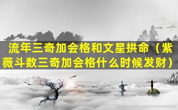 流年三奇加会格和文星拱命（紫薇斗数三奇加会格什么时候发财）