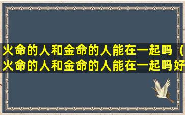 火命的人和金命的人能在一起吗（火命的人和金命的人能在一起吗好吗）