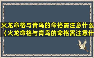 火龙命格与青鸟的命格需注意什么（火龙命格与青鸟的命格需注意什么关系）