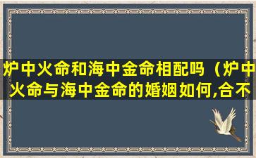 炉中火命和海中金命相配吗（炉中火命与海中金命的婚姻如何,合不合）