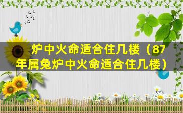 炉中火命适合住几楼（87年属兔炉中火命适合住几楼）