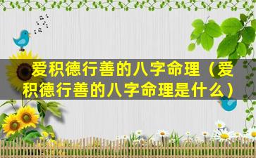 爱积德行善的八字命理（爱积德行善的八字命理是什么）