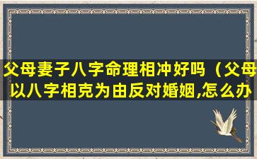 父母妻子八字命理相冲好吗（父母以八字相克为由反对婚姻,怎么办）